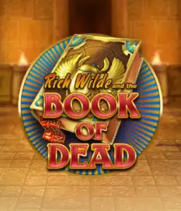 Embark on the thrilling world of Book of Dead by Play'n GO, featuring vivid graphics of Rich Wilde’s adventurous journey through ancient Egyptian tombs and artifacts. Uncover lost riches with engaging mechanics like free spins, expanding icons, and a gamble option. Ideal for those seeking adventure with a desire for exciting finds.